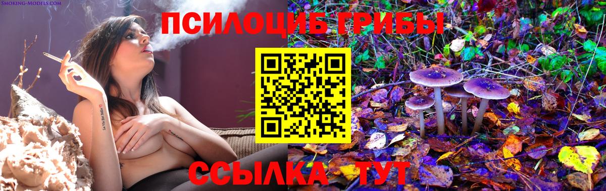 Псилоцибиновые грибы мухоморы  Вход с VPN  закладка  Кропоткин 