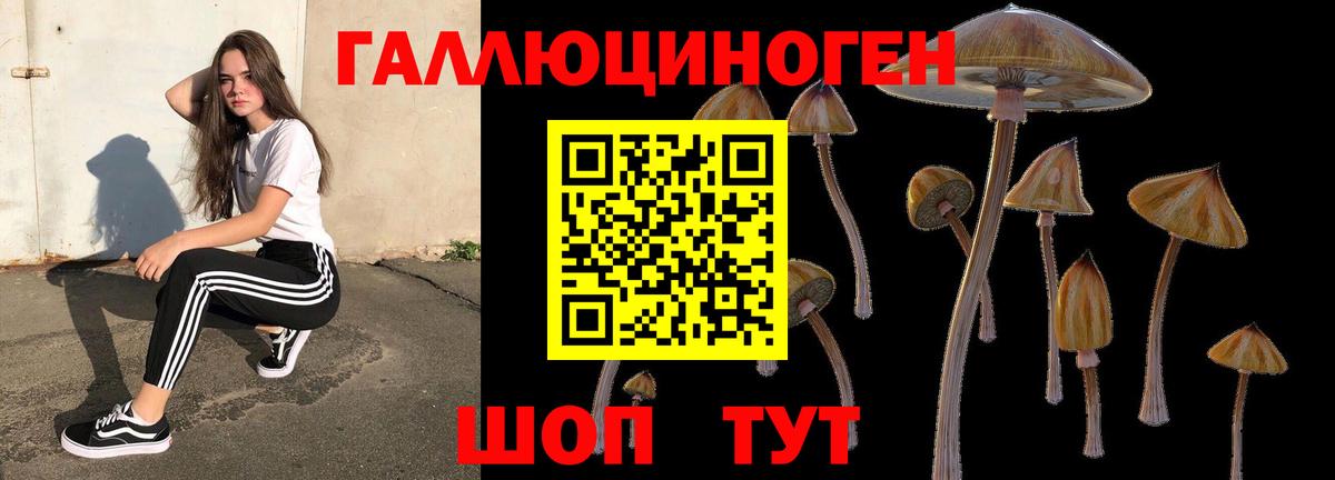 Галлюциногенные грибы мицелий Кропоткин